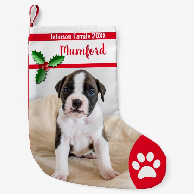 Cute Dog Christmas Stockings - Personalized Family (Front)