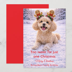 Cute Dog Christmas Sweet Quote Holiday Card