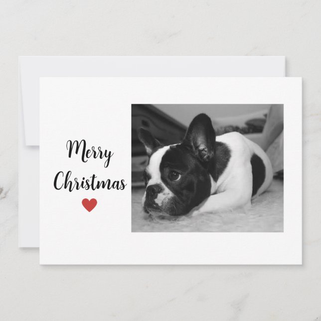 Cute Dog Chritsmas Love Holiday Card (Front)