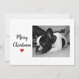 Cute Dog Chritsmas Love Holiday Card