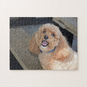 Cute Dog Cockapoo Breed Best Friend Animal Pet Jigsaw Puzzle