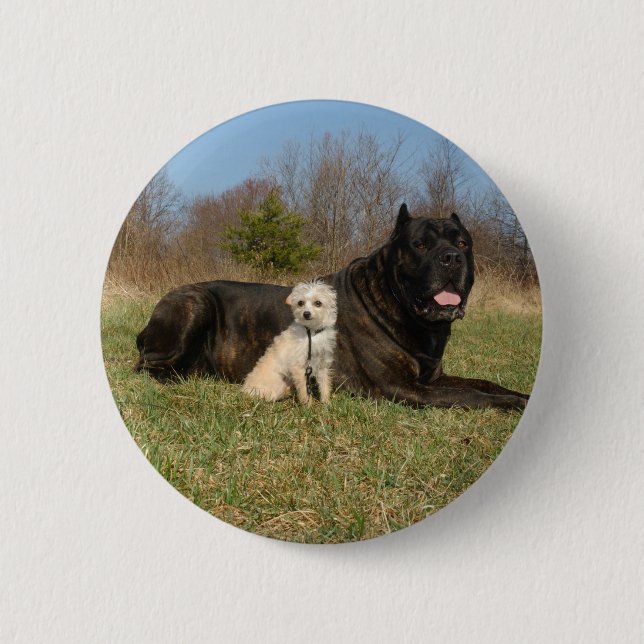 Cute Dog Couple Button (Front)