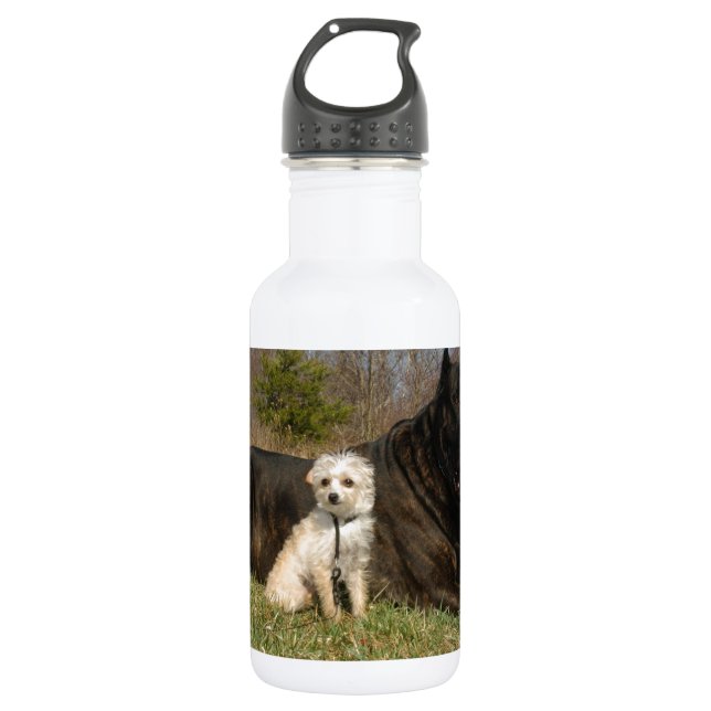 Cute Dog Couple Water Bottle (Front)