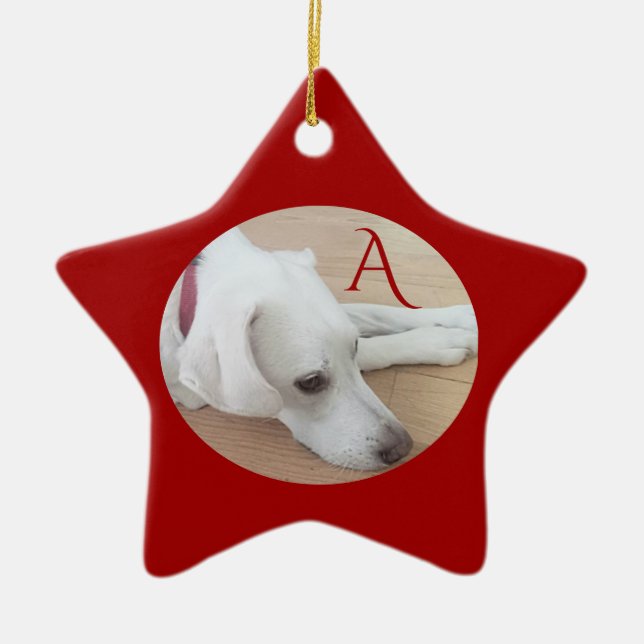 Cute Dog Custom Single Initial Red Star Ceramic Ornament (Front)