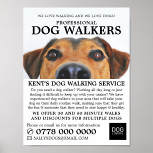 Cute Dog, Dog Walker Service Advertising Poster