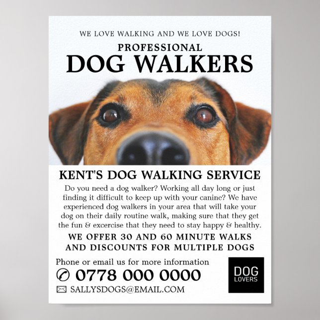 Cute Dog, Dog Walker Service Advertising Poster (Front)