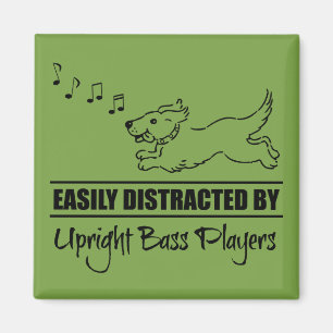 Cute Dog Easily Distracted by Upright Bass Players Magnet