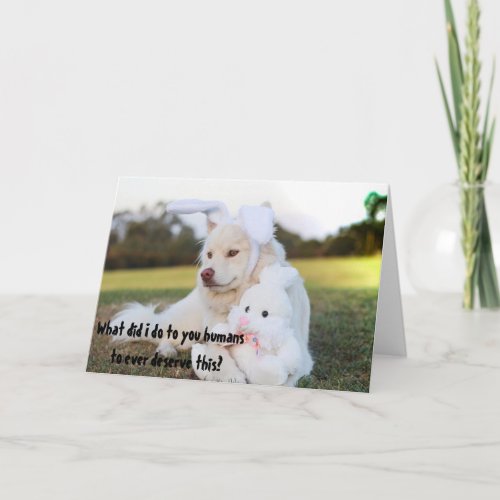 Cute Dog Easter Bunny Dress Up Funny Card