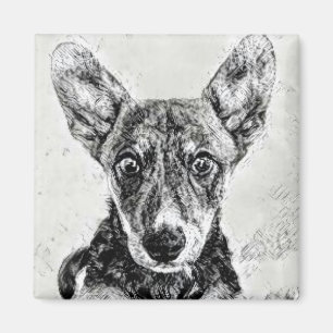 Cute Dog Face Magnet