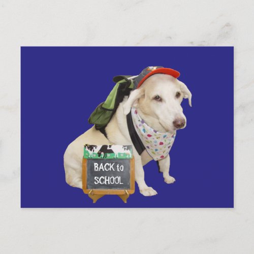 Cute Dog Funny Back to School Postcard