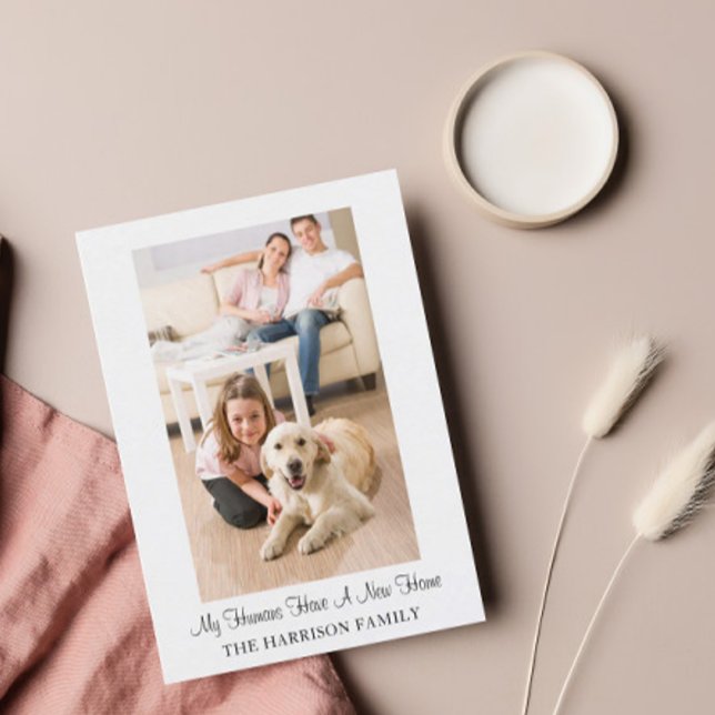 Cute Dog Funny New Address Moving Announcement Postcard (Creator Uploaded)