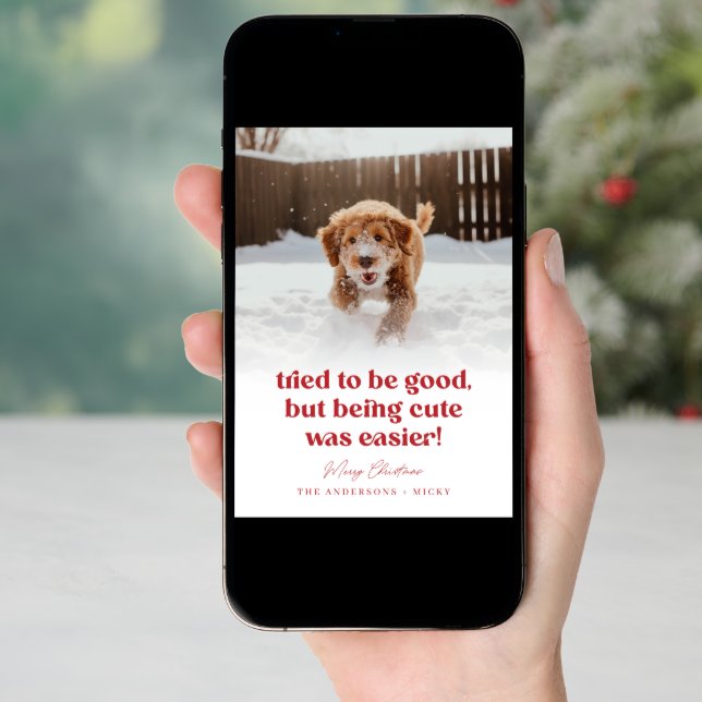  Cute Dog Funny Pet Photo Christmas Holiday Card (Front Digital)
