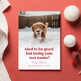 Cute Dog Funny Pet Photo Christmas Holiday Card