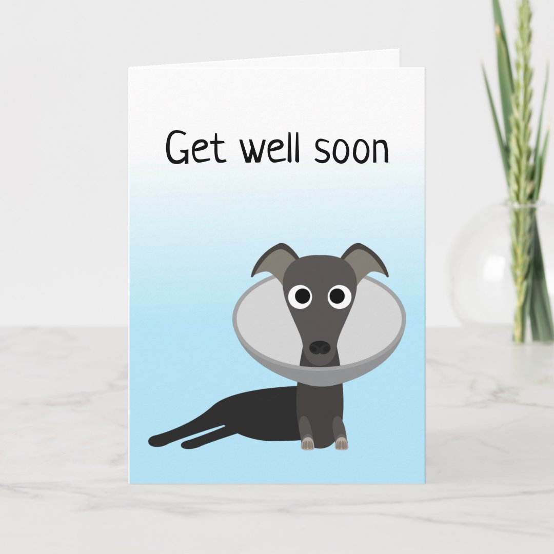 Cute Dog Get Well Soon Card | Zazzle