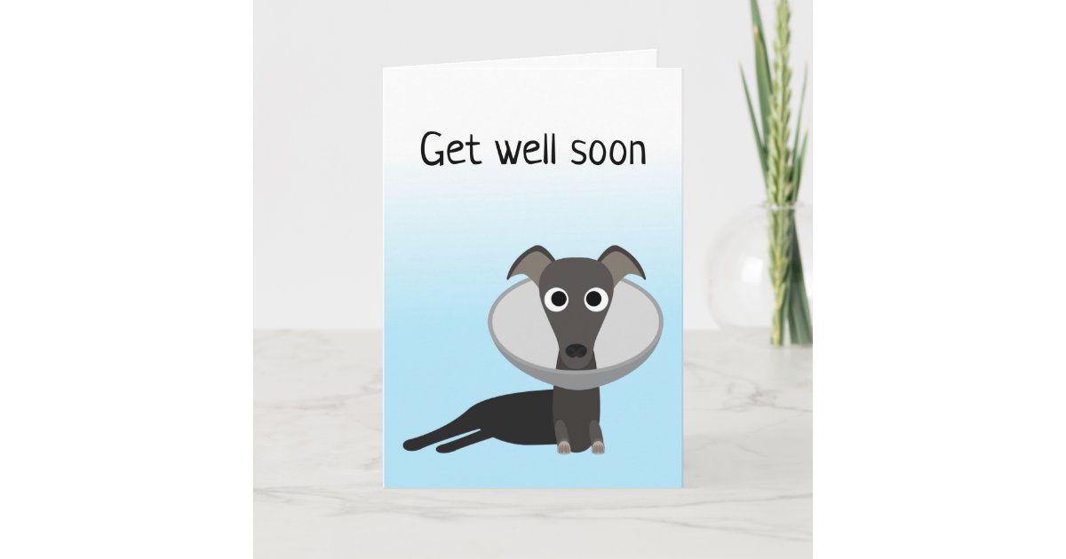 Cute Dog Get Well Soon Card | Zazzle