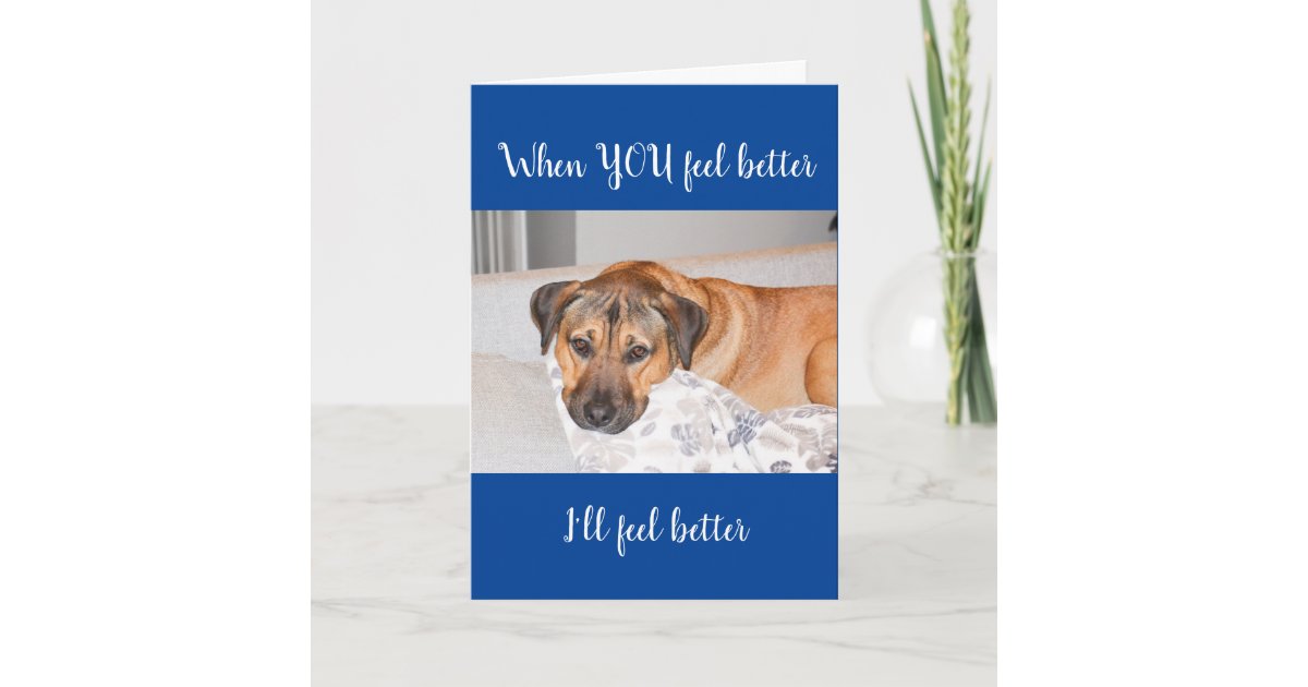 cute-dog-get-well-soon-card-zazzle