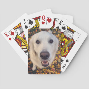 Cute dog gift for pet parents poker cards