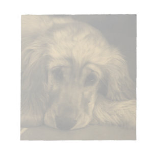 Cute Dog - Golden Retriever laying down Notepad
