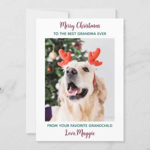 Cute Dog Grandma Personalized Christmas Pet Photo Holiday Card