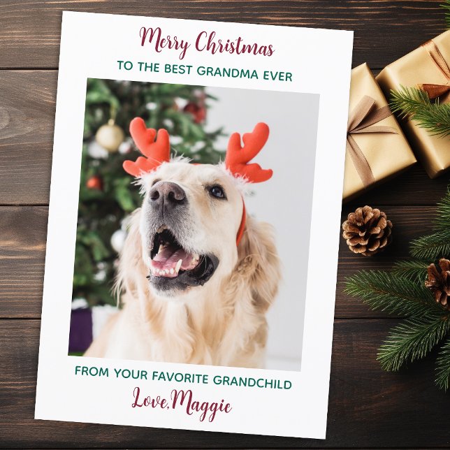 Cute Dog Grandma Personalized Christmas Pet Photo Holiday Card (Creator Uploaded)