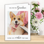 Cute Dog Grandma Personalized Pet Photo Birthday  Holiday Card<br><div class="desc">Happy Birthday the the best dog grandma ever ! Give Grandma a cute and funny personalized pet photo card from her best grandchild, the dog! "You Are The Grandma Every Dog Wishes They Had . . . Happy Birthday Grandma, Love the Dog" Personalize the inside with your special message, the...</div>