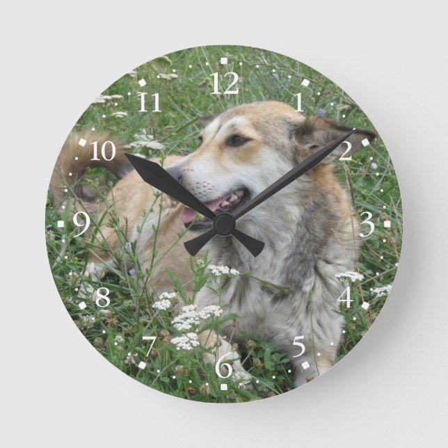 Cute Dog Green Grass Clockface 1 Round Clock (Front)