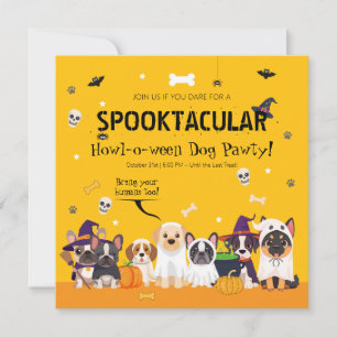 Cute Dog Halloween Party Pet Costume Howl-o-Ween Invitation