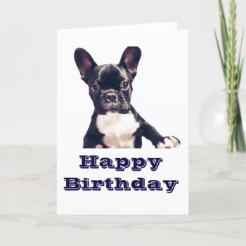 Cute Dog Happy Birthday Cards by Theraven14 at Zazzle