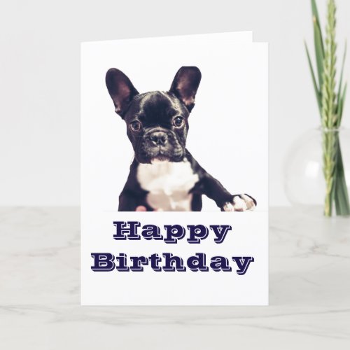 Cute Dog Happy Birthday Cards