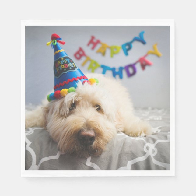 Cute Dog Happy Birthday Napkins (Front)