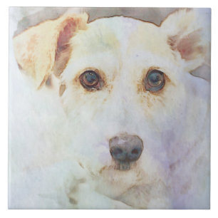 Cute Dog Head Face Eyes Sketch Ceramic Tile