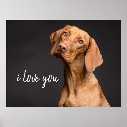 Cute Dog I Love You Vizsla Puppy Pets Poster
