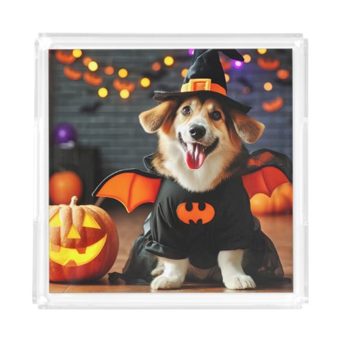 Cute dog in a Halloween costume Acrylic Tray