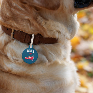 Cute Dog in Airplane Custom Name Collar Pet ID Tag