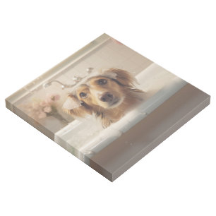 Cute Dog in Bathtub Perfect for Bathroom Gallery Wrap