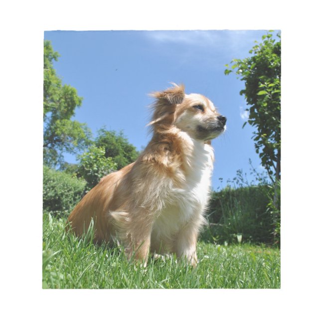 Cute dog in grass notepad (Front)