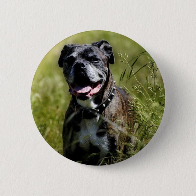 Cute dog in grass pinback button (Front)