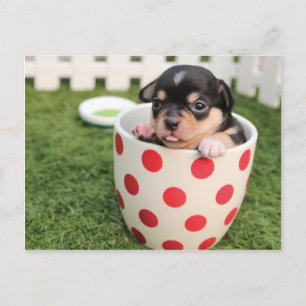 Cute Dog in mug Postcard
