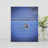 cute dog in snow (Standing Front)