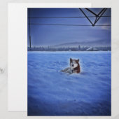 cute dog in snow (Front/Back)