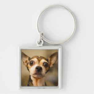 Cute Dog key chain 10