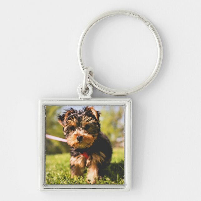 Cute Dog key chain 5 (Front)