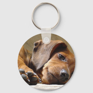 Cute dog keychain
