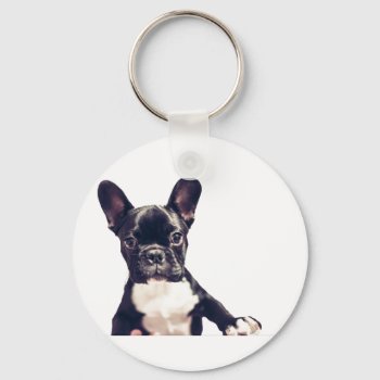 Cute Dog Keychains by Theraven14 at Zazzle