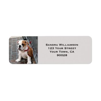 Cute Dog Label by DonnaGrayson_Photos at Zazzle