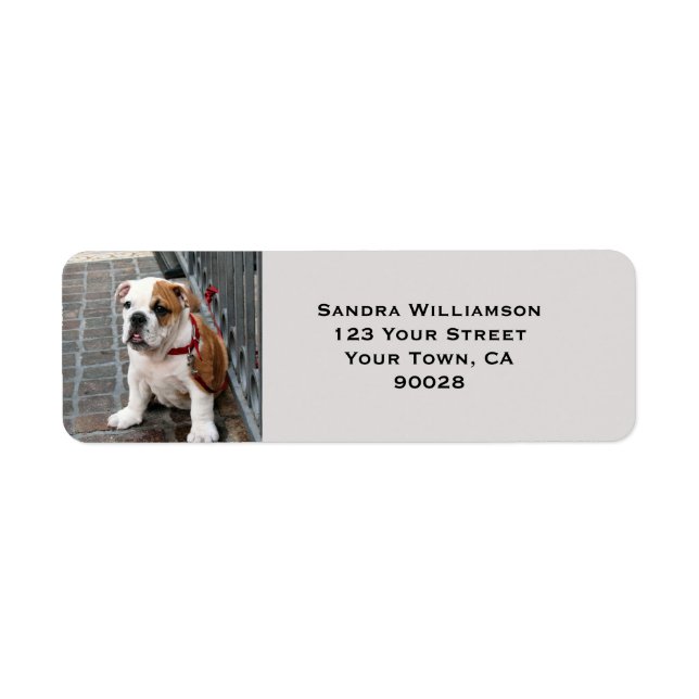 Cute dog label (Front)