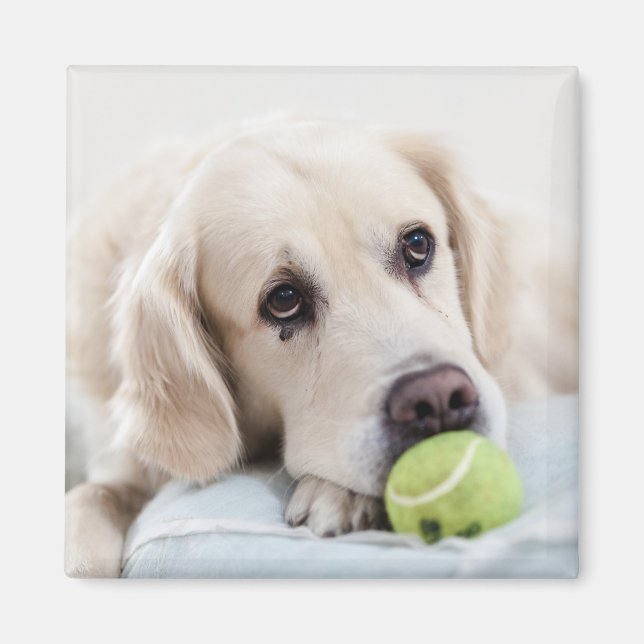 Cute Dog magnet 4 (Front)