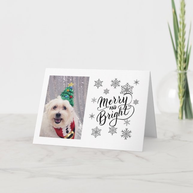 Cute Dog Maltese Bichon Christmas Card (Front)