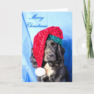Cute Dog Merry Christmas Card