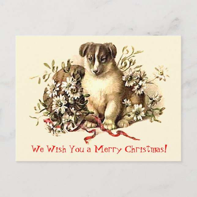 Cute Dog Merry Christmas Cards and Postcards (Front)